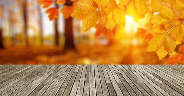 阳光下的木纹理木板和秋天的叶子 — 图库照片