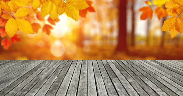 阳光下的木纹理木板和秋天的叶子 — 图库照片