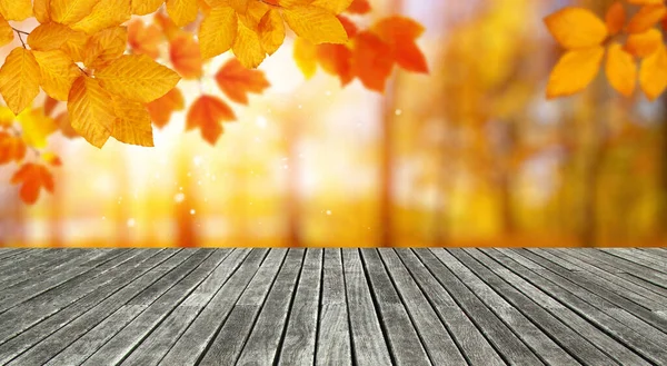 Hout Textuur Plank Herfst Bladeren Zonnestralen — Stockfoto