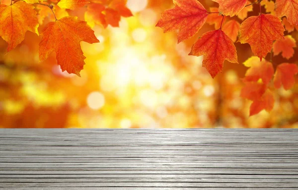 木の質感板と太陽光線の秋の葉 — ストック写真