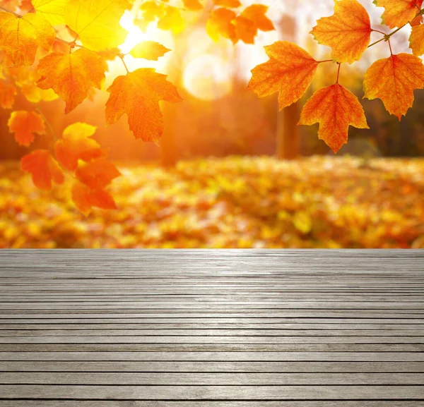 Hout Textuur Plank Herfst Bladeren Zonnestralen — Stockfoto