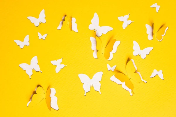 漂亮的纸蝴蝶 — 图库照片
