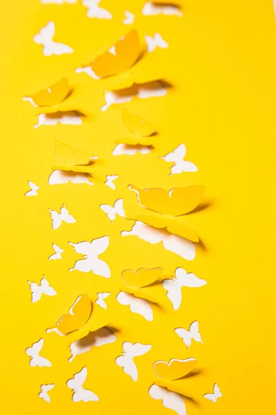 Hermosas mariposas de papel — Foto de Stock