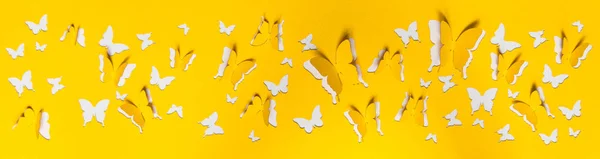 Gyönyörű papír pillangók — Stock Fotó