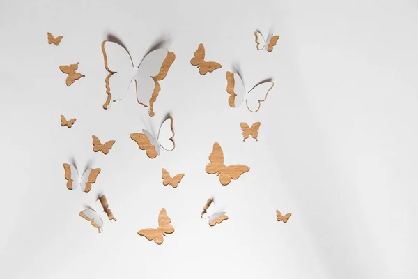 Beautiful paper butterflies — Stock Photo, Image