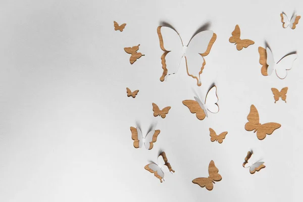 Beautiful paper butterflies — Stock Photo, Image