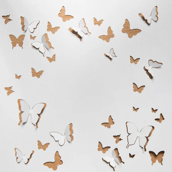 Beautiful paper butterflies — Stock Photo, Image