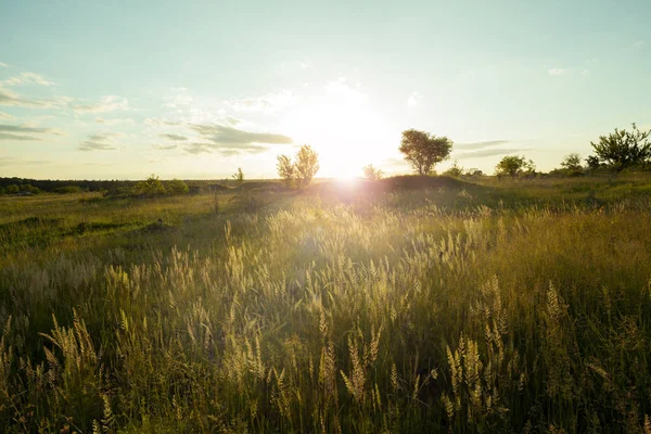 在乡下的田野上日落 美丽的自然日落风景 — 图库照片