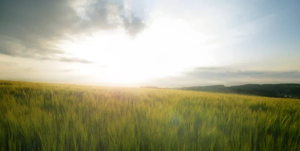 Зелений Луг Під Блакитним Небом Хмарами Красивий Пейзаж Заході Сонця — стокове фото