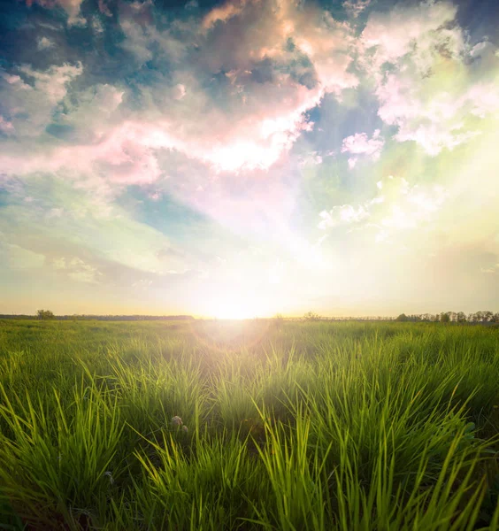 Gröna Ängen Blå Himmel Med Moln Vacker Natur Solnedgång Landskap — Stockfoto