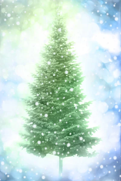Weihnachtsbaum Isoliert Über Lebendigen Farben Hintergrund Frohe Weihnachten Und Ein — Stockfoto