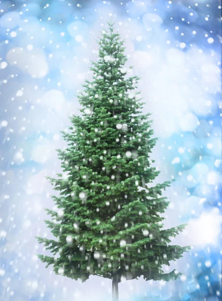 Christmas Tree Isolated Vibrant Colors Background Merry Christmas Happy New — Stock Photo, Image