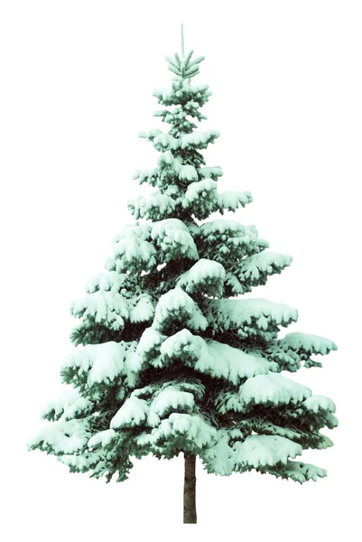 Beyaz Arka Plan Üzerinde Izole Kar Noel Ağacı Çam Ağacı — Stok fotoğraf