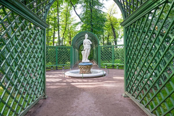 Vista Fonte Jardim Verão Cidade São Petersburgo Rússia — Fotografia de Stock