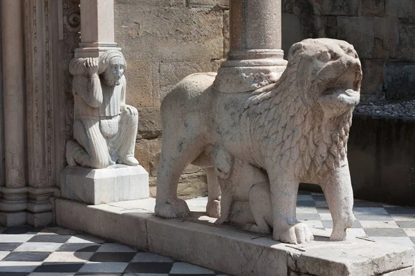 Az egyik az oroszlánok, támogatja az oszlop, a felső város Bergamo, Olaszország — Stock Fotó