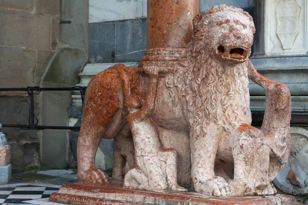 Один из львов, поддерживающих колонну, Верхний город Бергамо, Италия — стоковое фото