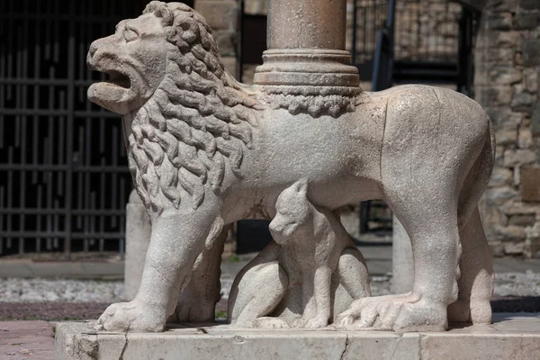 Az egyik az oroszlánok, támogatja az oszlop, a felső város Bergamo, Olaszország — Stock Fotó