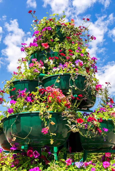 Grandes Vasos Com Flores Decorativas Contra Céu Azul Dia Ensolarado — Fotografia de Stock