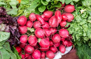 Taze organik turp çiftçi Market Satılık yeni hasat