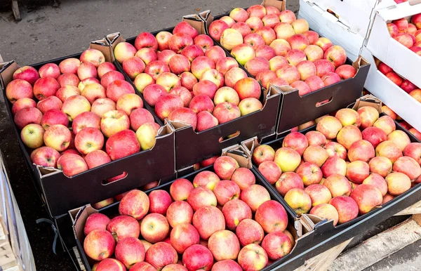 Frische Äpfel Der Neuen Ernte Zum Verkauf Auf Dem Lokalen — Stockfoto