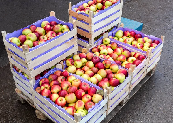 Mele Fresche Nuovo Raccolto Pronte Vendita Sul Mercato Agricolo Locale — Foto Stock