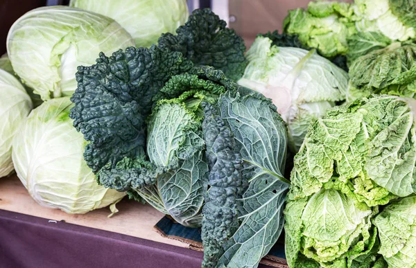 Repolho Fresco Verde Nova Colheita Pronto Para Venda Mercado Agricultores — Fotografia de Stock