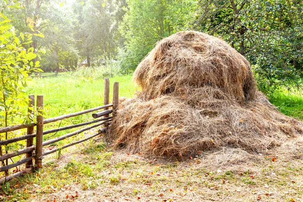 Stack Torrt Solig Sommardag Landsbygden — Stockfoto