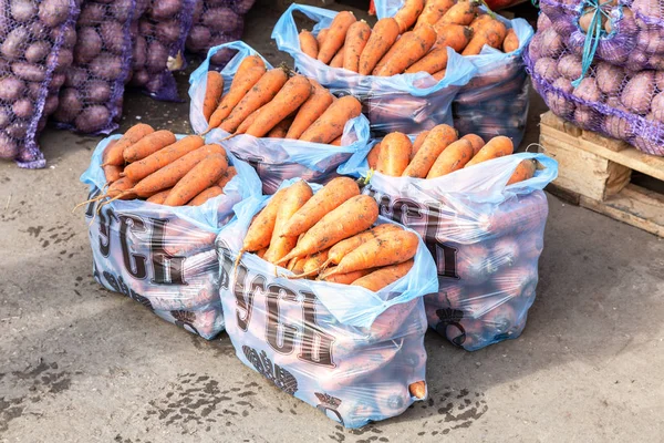 Frische Bio Karotten Der Neuen Ernte Zum Verkauf Auf Dem — Stockfoto