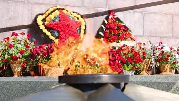 Eternal Flame Flowers Memory Victory Great Patriotic War — Stock Video