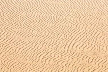 Doğal dokular sahil kumu ve yüzey. Arka plan olarak kum dalgaları
