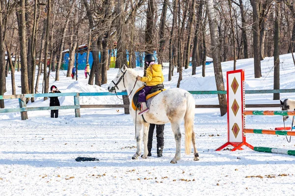 Samara Rusko Února 2018 Děti Učí Jezdit Koně Zimě Parku — Stock fotografie