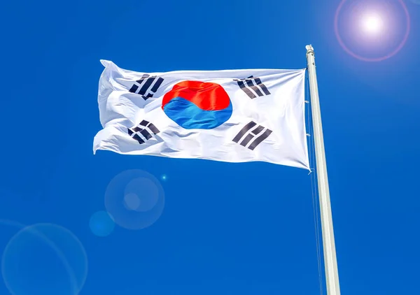 Vlag van Zuid-Korea vliegen in de wind tegen de hemel — Stockfoto