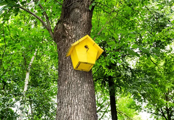贴在树干上的木制鸟舍 — 图库照片