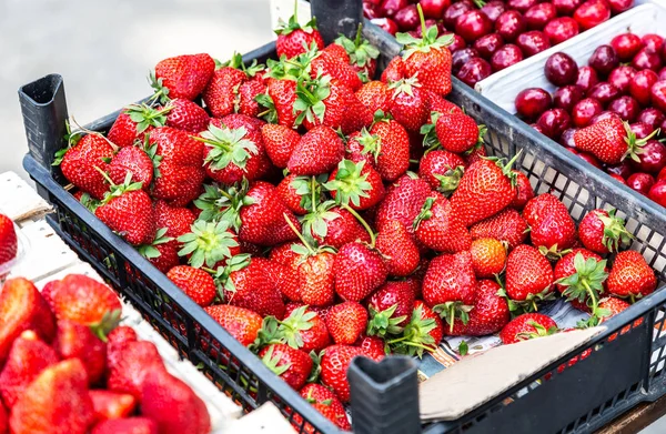 Fresh ripe strawberries ready for sale — Stock Photo, Image