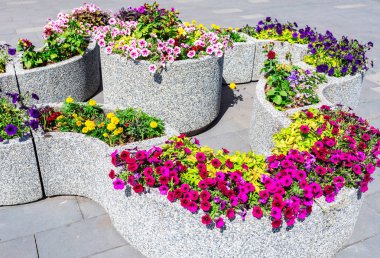 Farklı çiçekler ile Granit dekoratif çiçek yatak