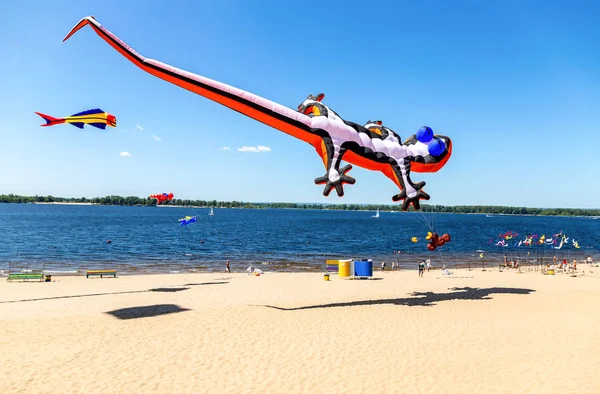 Kleurrijke vliegers vliegen tegen een blauwe hemel — Stockfoto