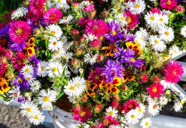 Dekoratif çok renkli çiçeklerin arkaplanı