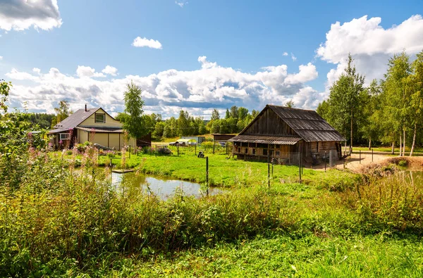 Сільський будинок з господарствами і невеликим ставком — стокове фото