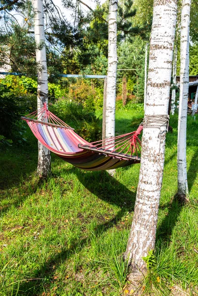 Hängematte hängt im Sommer in den Bäumen — Stockfoto