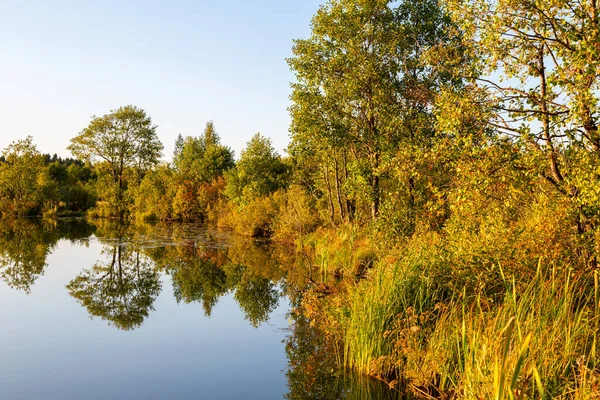 Чистое Спокойное Озеро Летний Вечер Деревьями Отраженными Тихой Воде Понятие — стоковое фото
