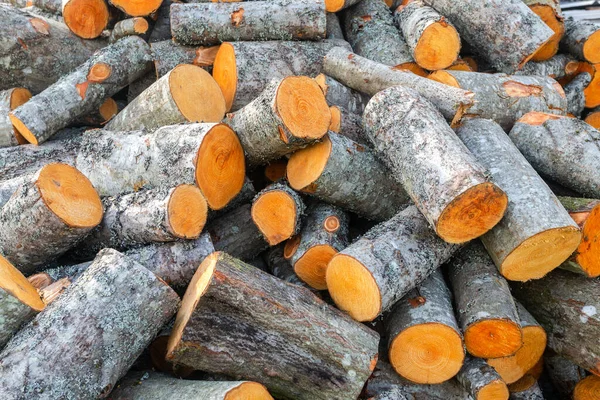 Arka Plan Olarak Doğranmış Odun Yığılmış Kereste Yığını Kesilen Ağaçlar — Stok fotoğraf