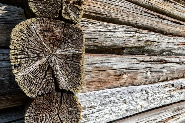 Old Rough Wooden Logs Cracks Background Wooden Rough Texture View — Stock Photo, Image