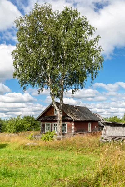 Tradycyjny Wiejski Drewniany Dom Dużą Brzozą Rosyjskiej Wiosce Letni Słoneczny — Zdjęcie stockowe