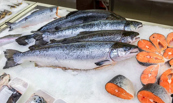 Peixe Salmão Balcão Gelo Peixes Vermelhos Crus Venda Loja Frutos — Fotografia de Stock