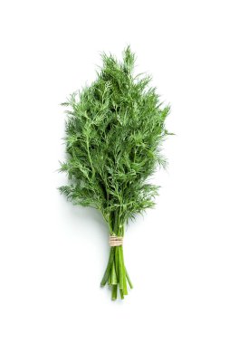 Beyaz arka plan izole yakın çekim üzerinde taze dereotu