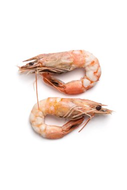 İki haşlanmış karides yakın çekim. Beyaz arka plan üzerinde izole