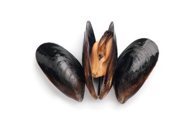 Beyaz bir arka plan taze midye yakın çekim. İzole