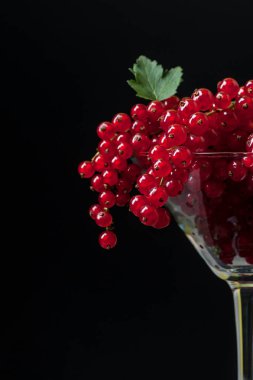 Bir bardak martini cam siyah bir zemin üzerine kırmızı kuş üzümü. Karanlık Moody tarzında çekim