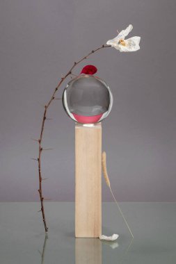 Çağdaş natürmort ahşap öğeleri ve doğal bir tema üzerine kuru çiçekler. Minimalizm tarzında çekim.