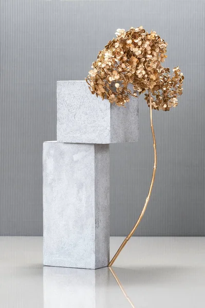 Kunstinstallation Stil Des Minimalismus Mit Betonsteinen Und Einer Goldenen Pflanze Stockbild
